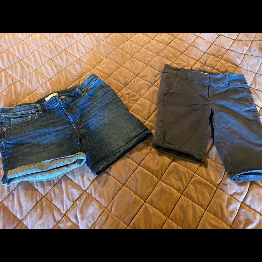 Ann Taylor Loft Shorts
